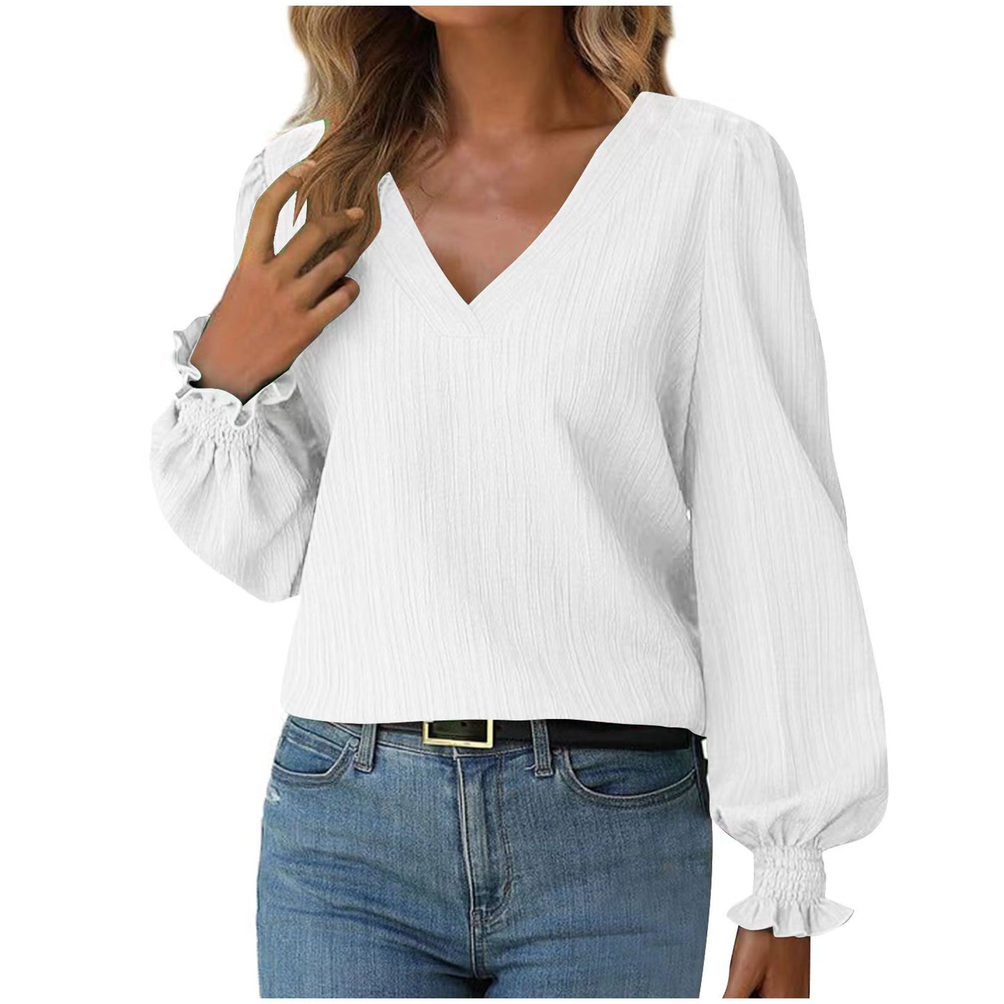 Women's Autumn Minimalist Long Sleeve Solid Color Blouse